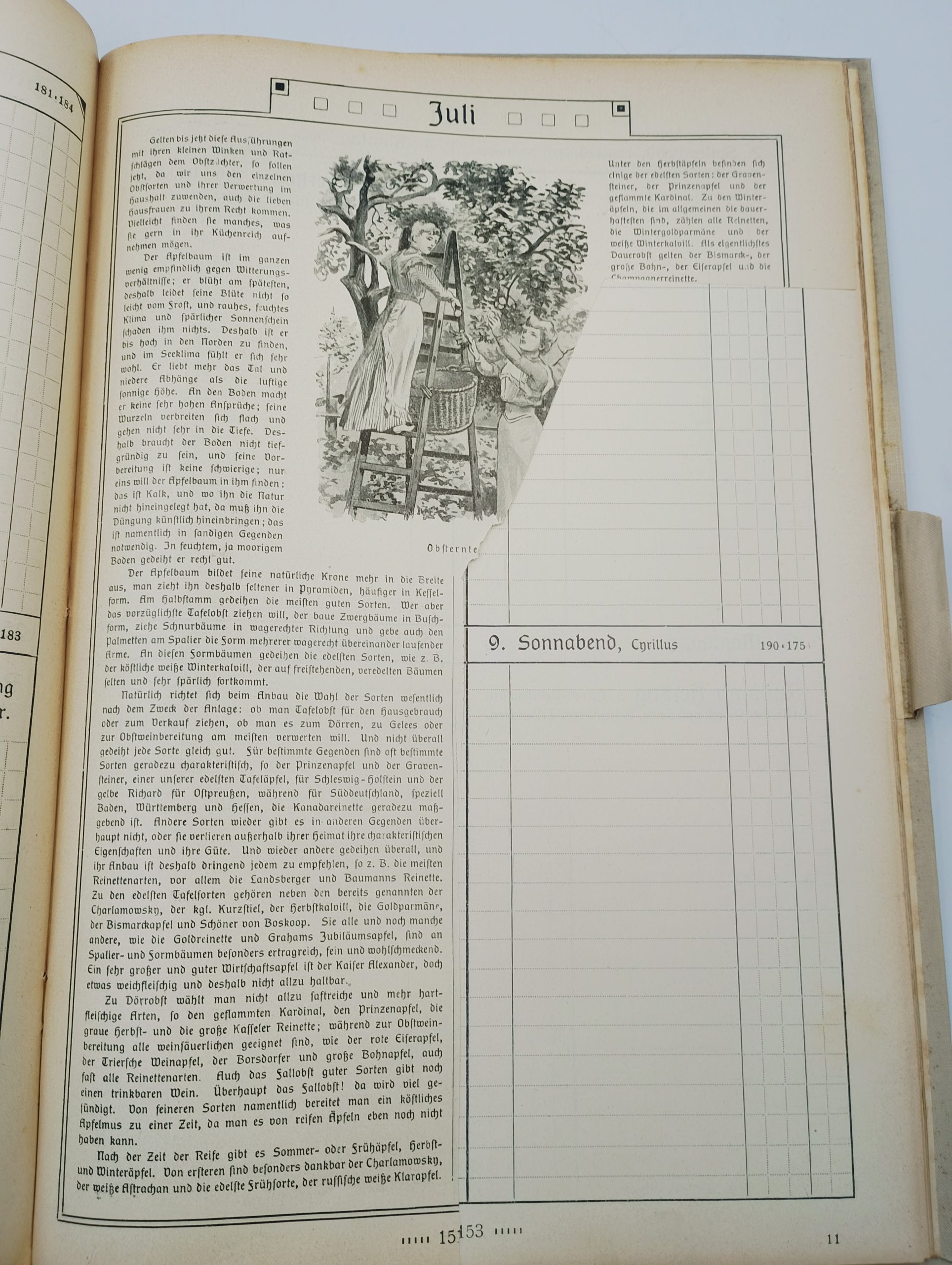 Rocznik Rudolph Hertzog Agenda 1910 Berlin - obrazek 8